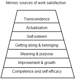 Figure 4. Intrinsic sources of work satisfaction.